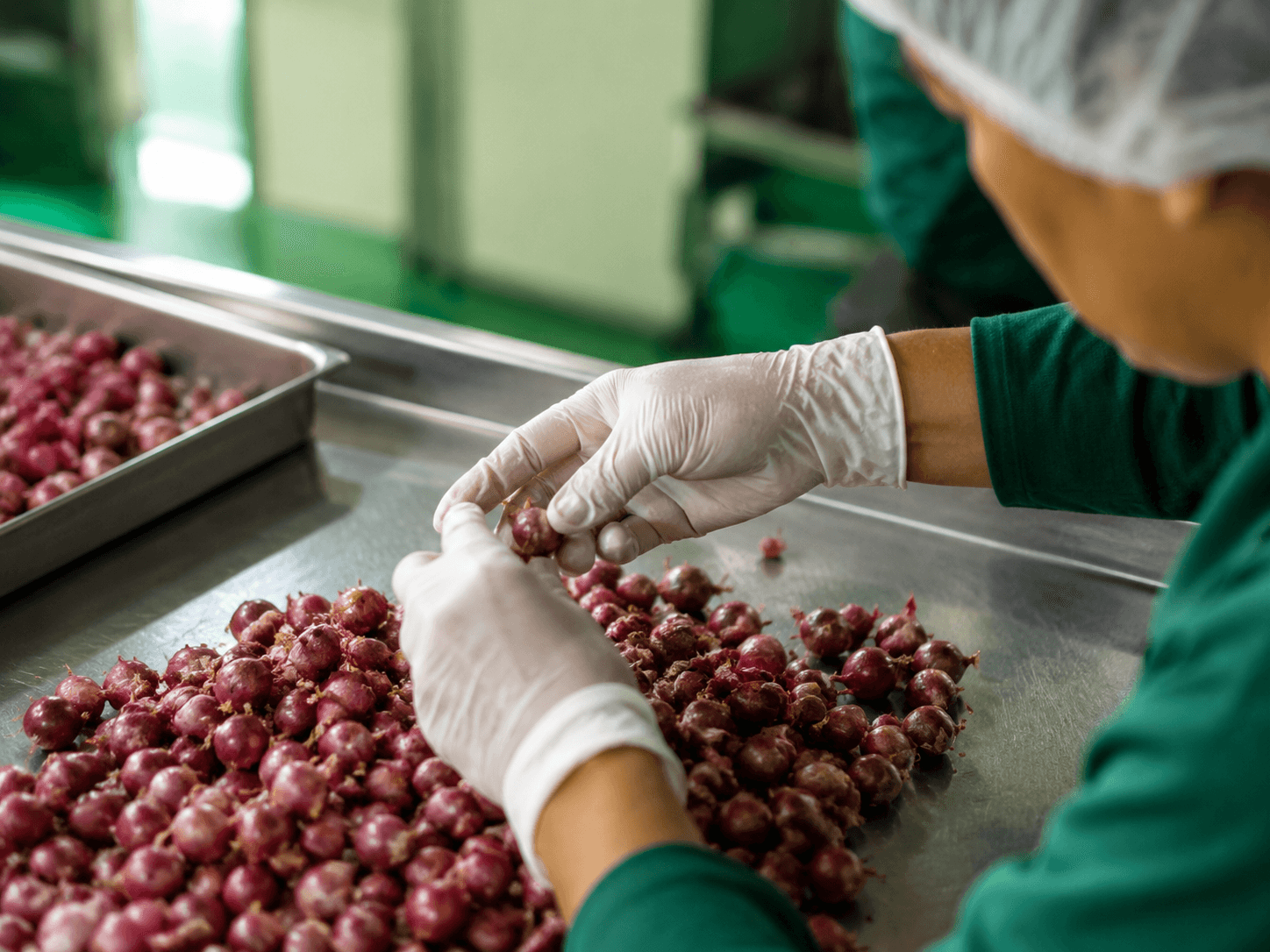 Tahap produksi: Sortir bawang